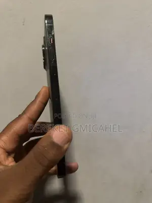 Apple iPhone 13 Pro Max 256 GB Green