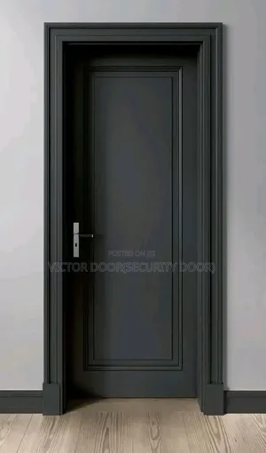 Carbon Fiber Doors