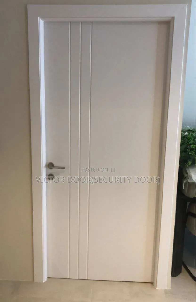 Carbon Fiber Doors