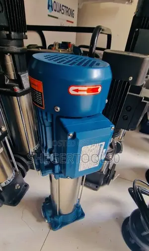 Italy Vertical Pump
