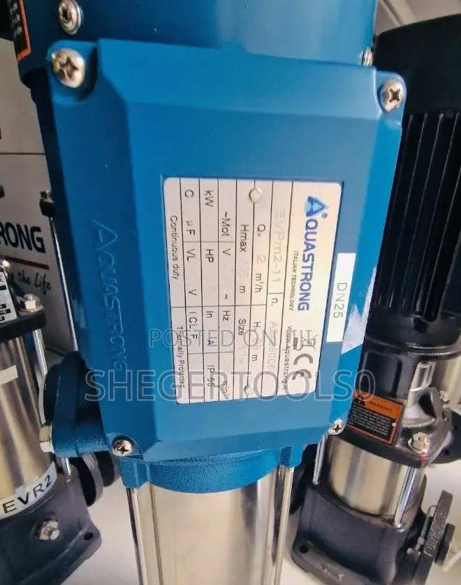 Italy Vertical Pump