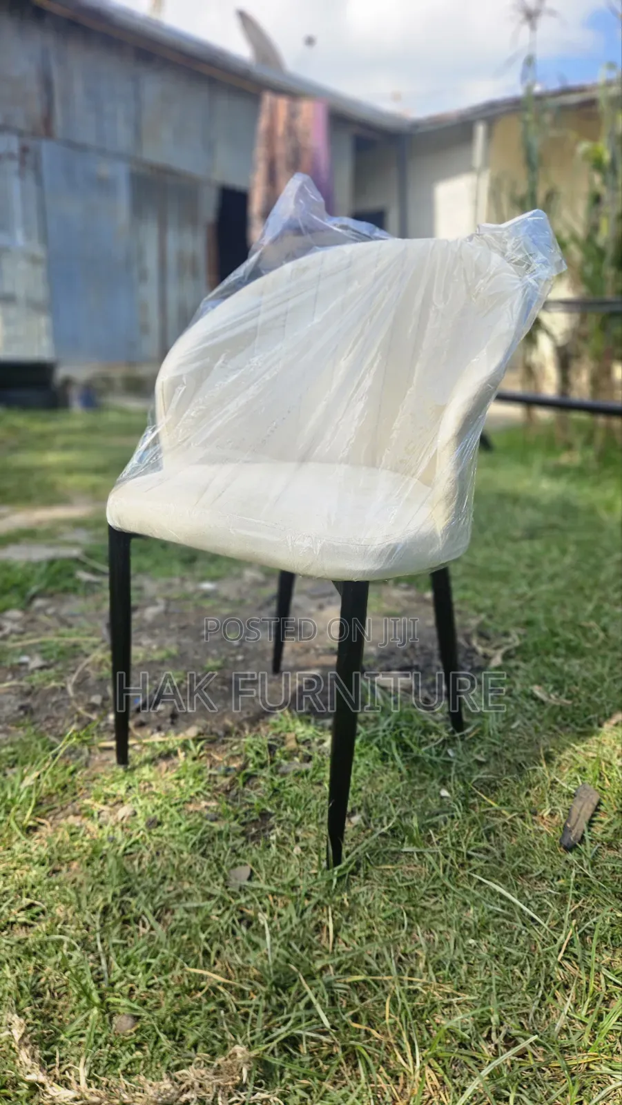 Cafe and Dining Chair