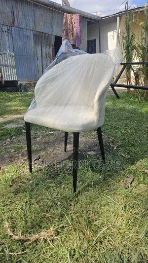 Cafe and Dining Chair
