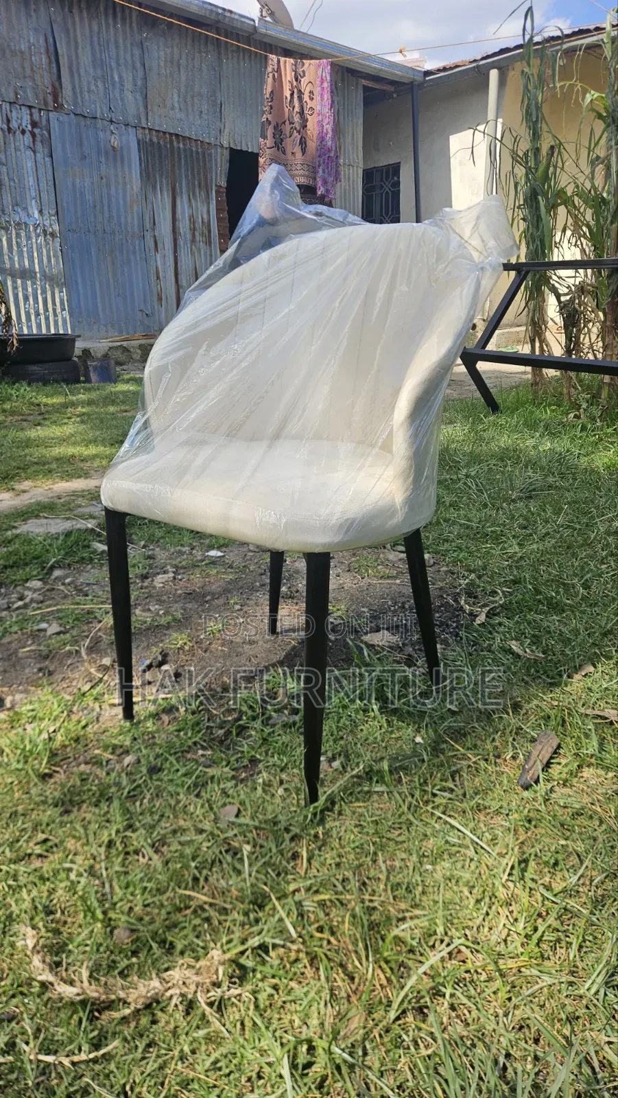 Cafe and Dining Chair