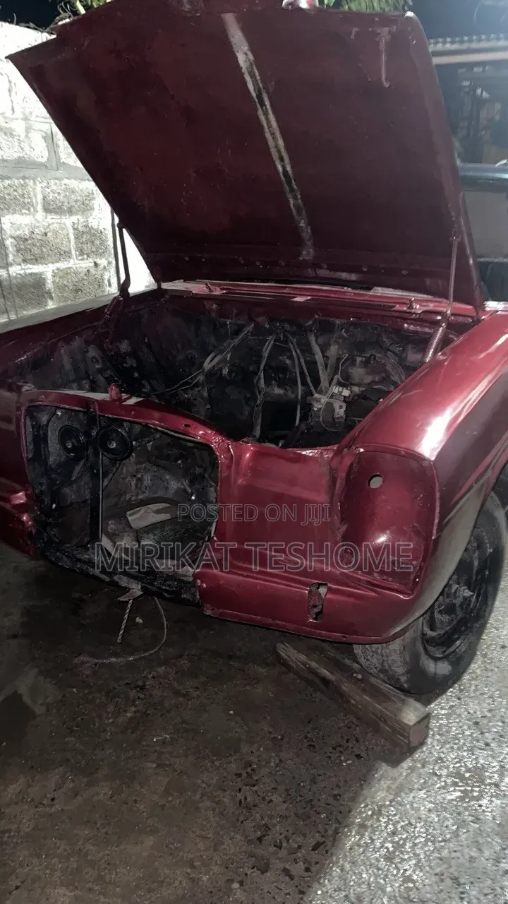 Mercedes-Benz W123 1976 Burgundy