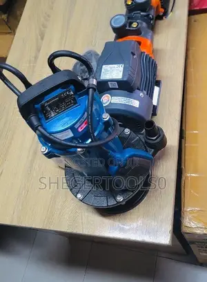 Italy Submer Sible Pump