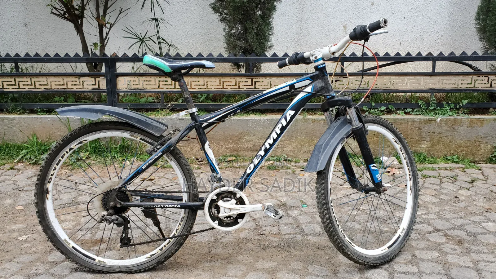 Olympia Mountain Bicycle