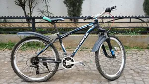 Olympia Mountain Bicycle
