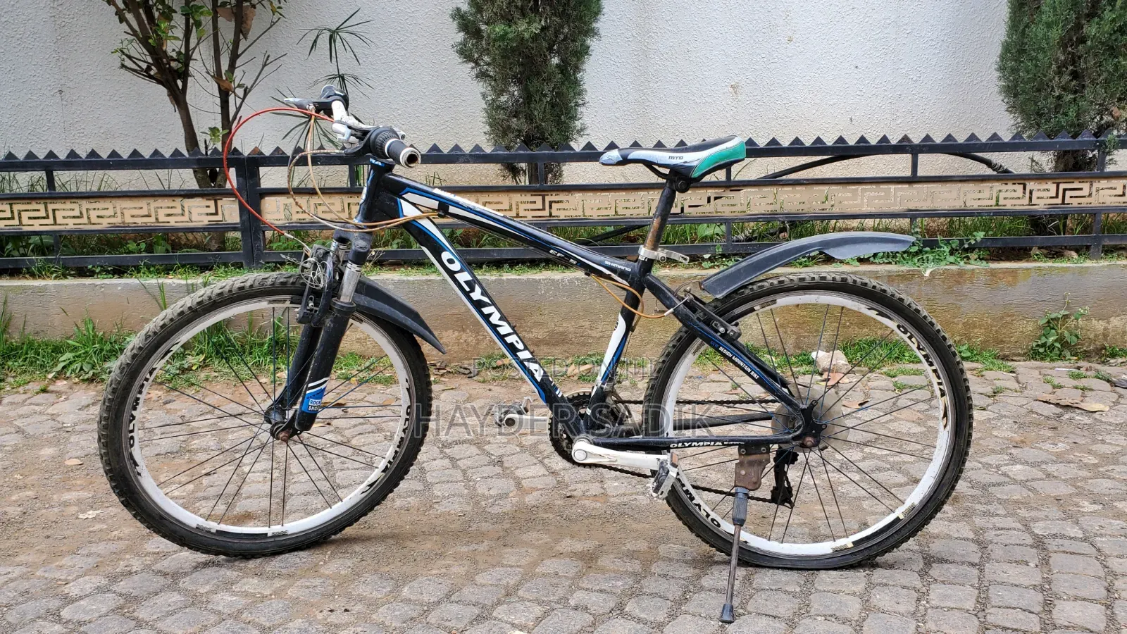Olympia Mountain Bicycle
