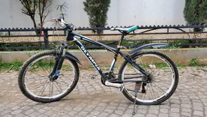 Olympia Mountain Bicycle