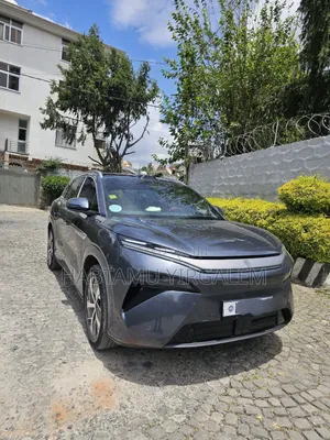 BYD Tang EV 2025