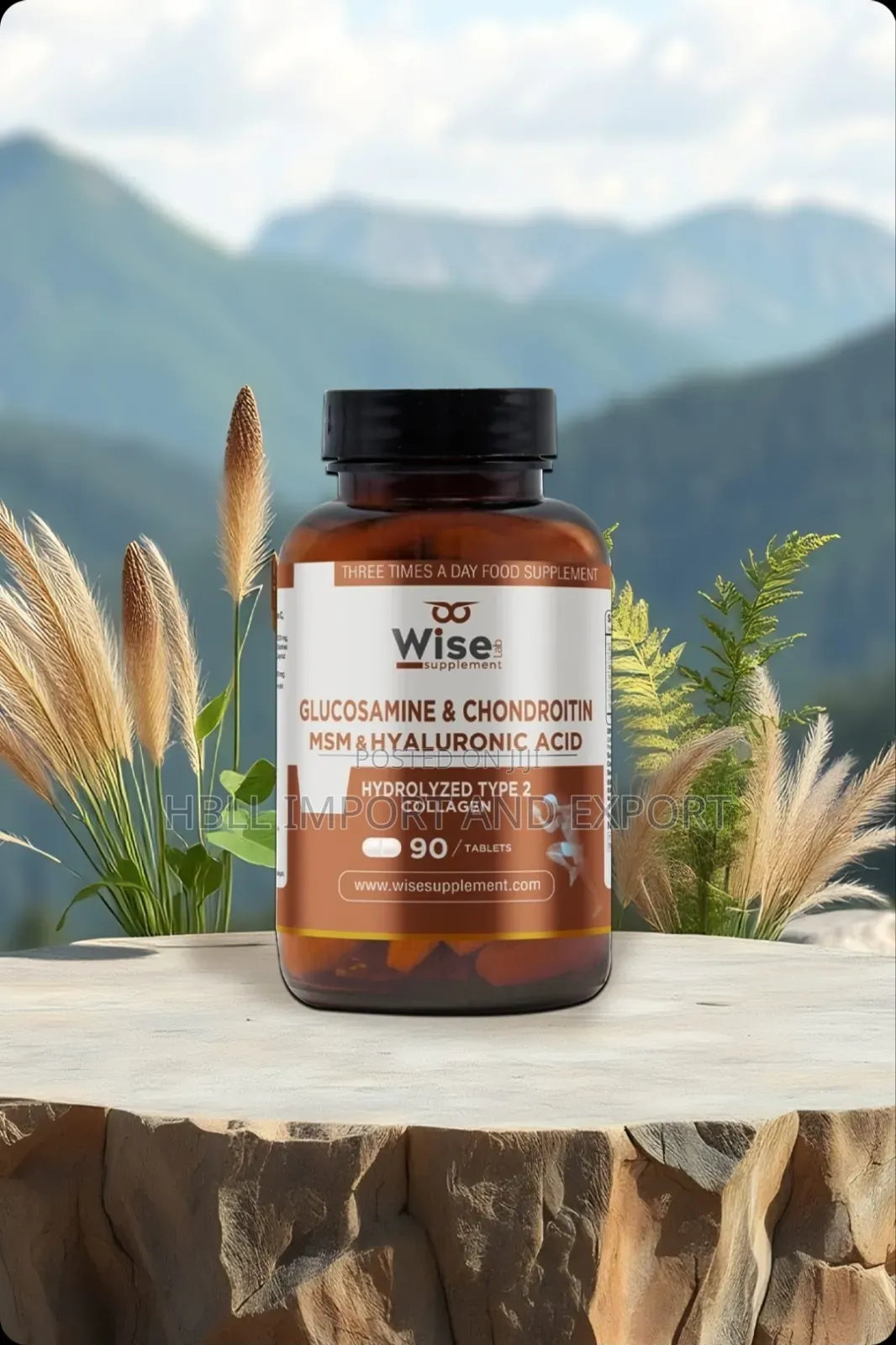 Glucosamine, Chondroitin, MSM, Hyaluronic Acid, and Type 2 Collagen