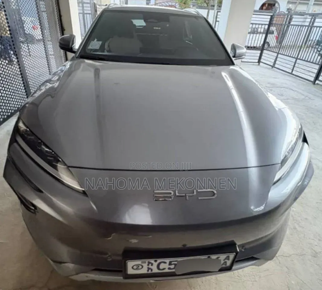 BYD Song Plus 2024 Gray