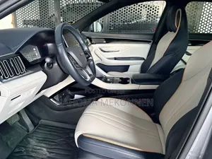 BYD Song Plus 2024 Gray
