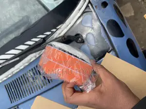 Chargeable Car Polisher
