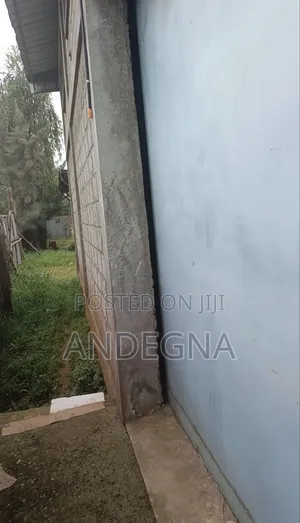 አሪፍ የስራ ቦታ ጅማ
