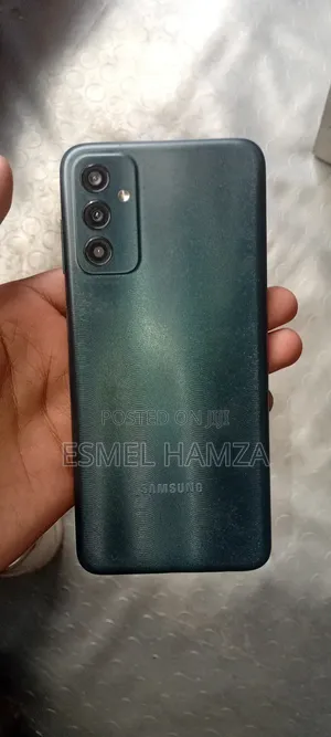 Samsung Galaxy F13 64 GB