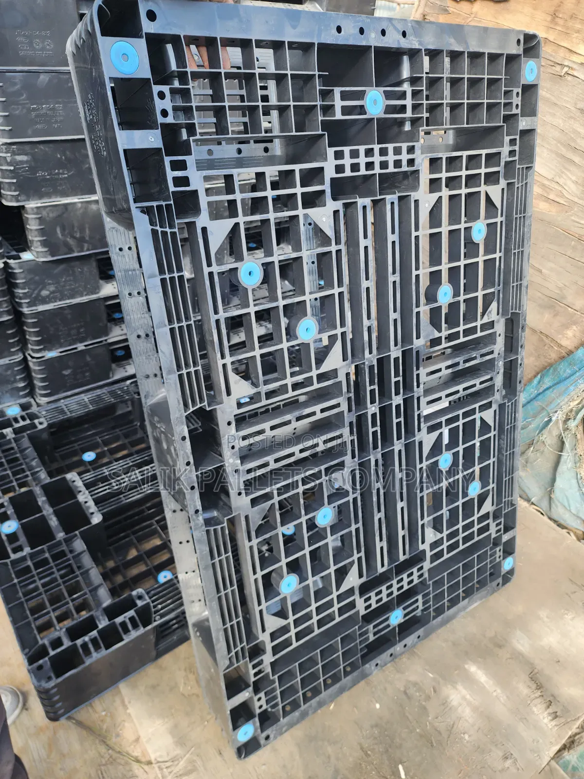 Pallet  Kingdom