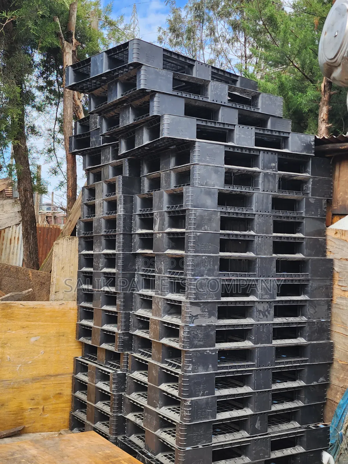 Pallet  Kingdom