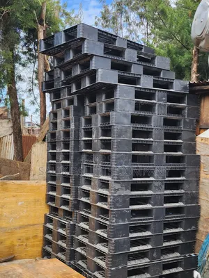 Pallet  Kingdom