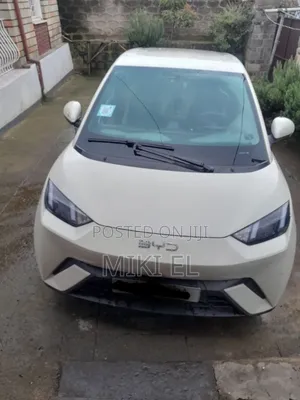 BYD Seagull 38 kWh FWD 2024 White