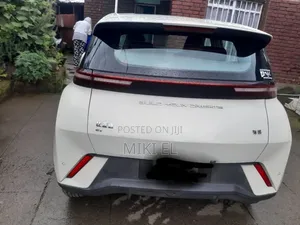 BYD Seagull 38 kWh FWD 2024 White