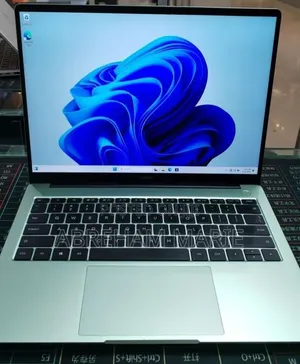 New Laptop Alienware M17x R2 16GB Intel Core i5 SSD 512GB