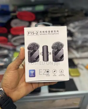 2 in 1 Original Wireless Mic