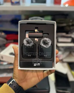 2 in 1 Original Wireless Mic