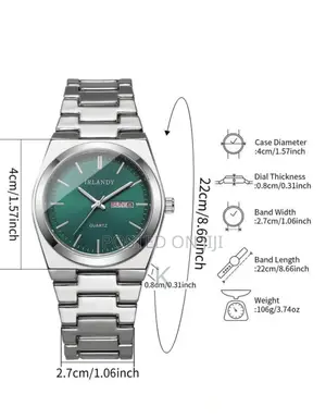 Irlandy Quartz Business-Style Men's Wristwatch