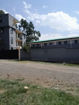 Warehouse Sale at Addis Abeba