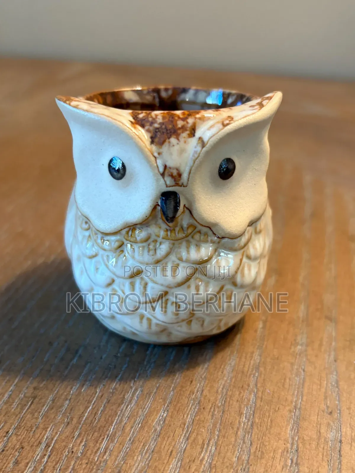 Ceramic Owl Mini Planter