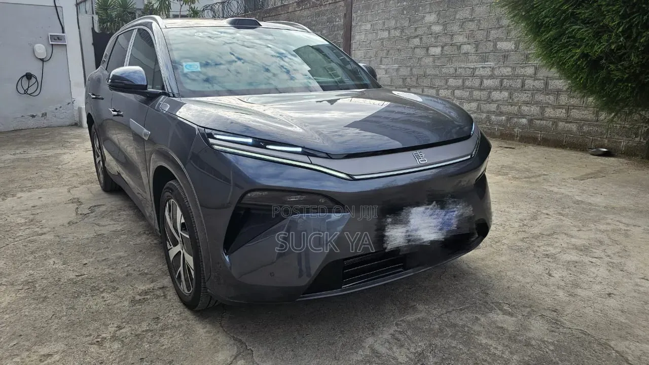 BYD Tang DM-i 2025 Gray