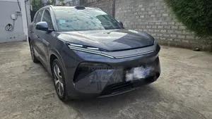 BYD Tang DM-i 2025 Gray