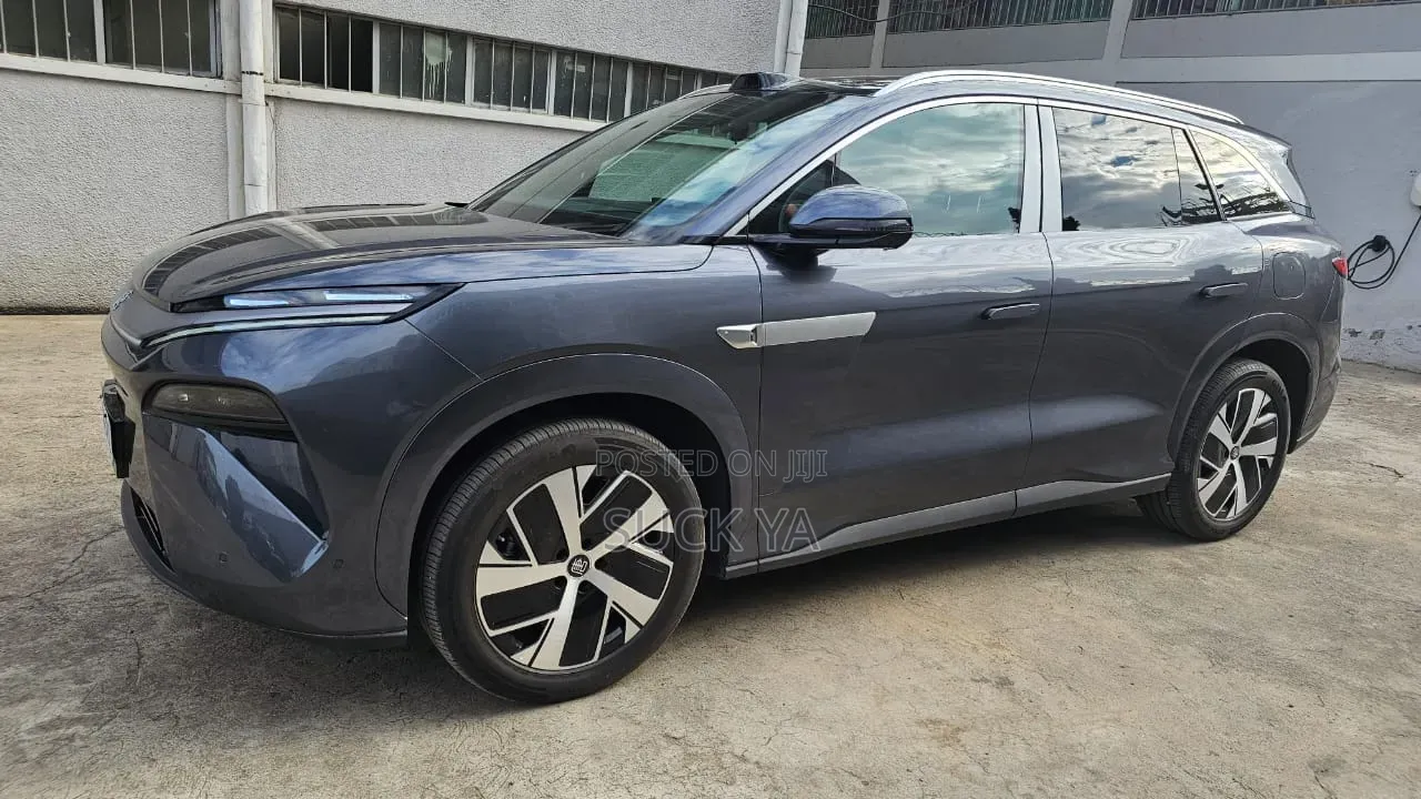 BYD Tang DM-i 2025 Gray