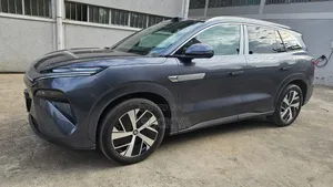 BYD Tang DM-i 2025 Gray