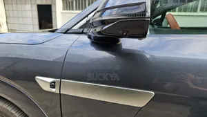 BYD Tang DM-i 2025 Gray