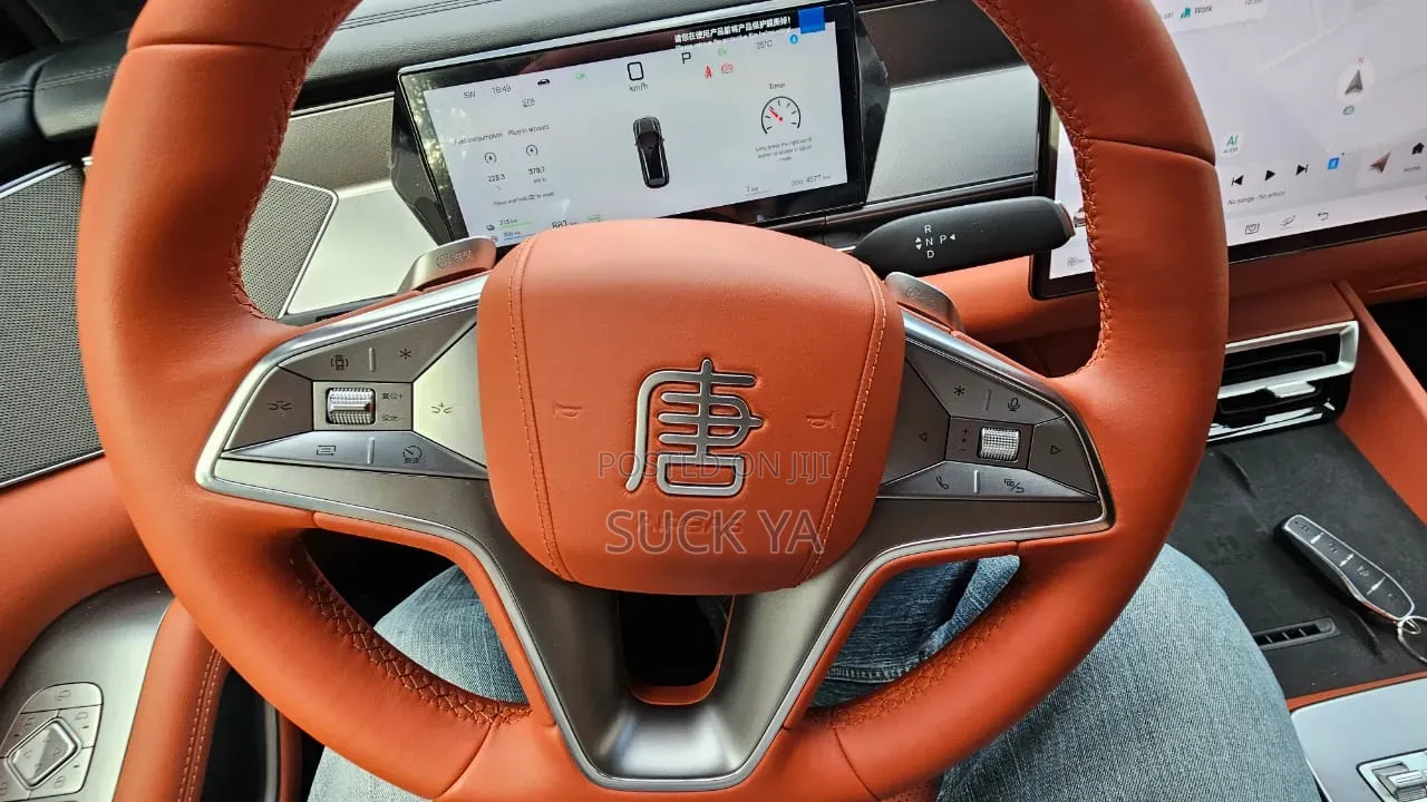 BYD Tang DM-i 2025 Gray