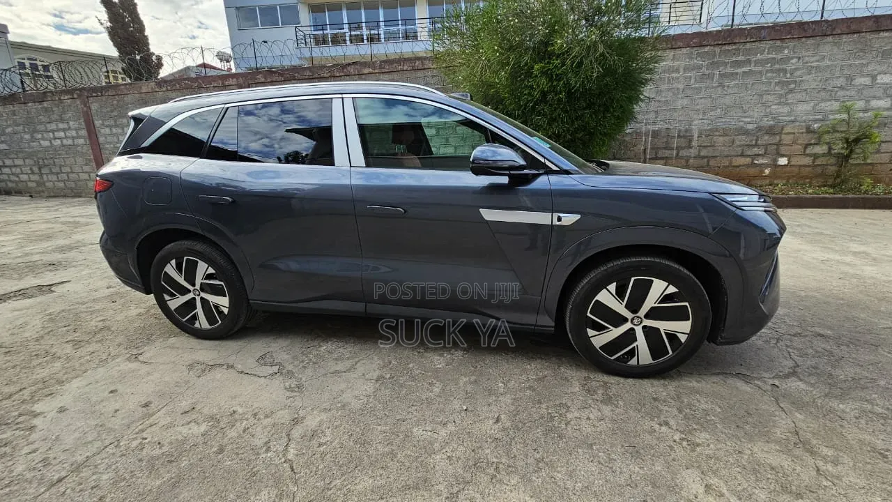 BYD Tang DM-i 2025 Gray