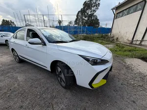 New Dongfeng Nammi 01 2024 White