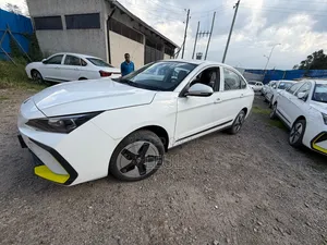 New Dongfeng Nammi 01 2024 White