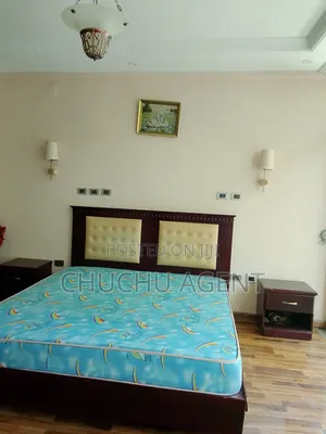 Furnished 11bdrm Apartment in Bole for rent