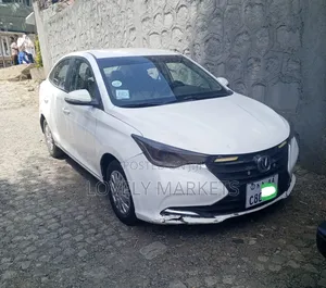 Changan Alsvin 2021 White