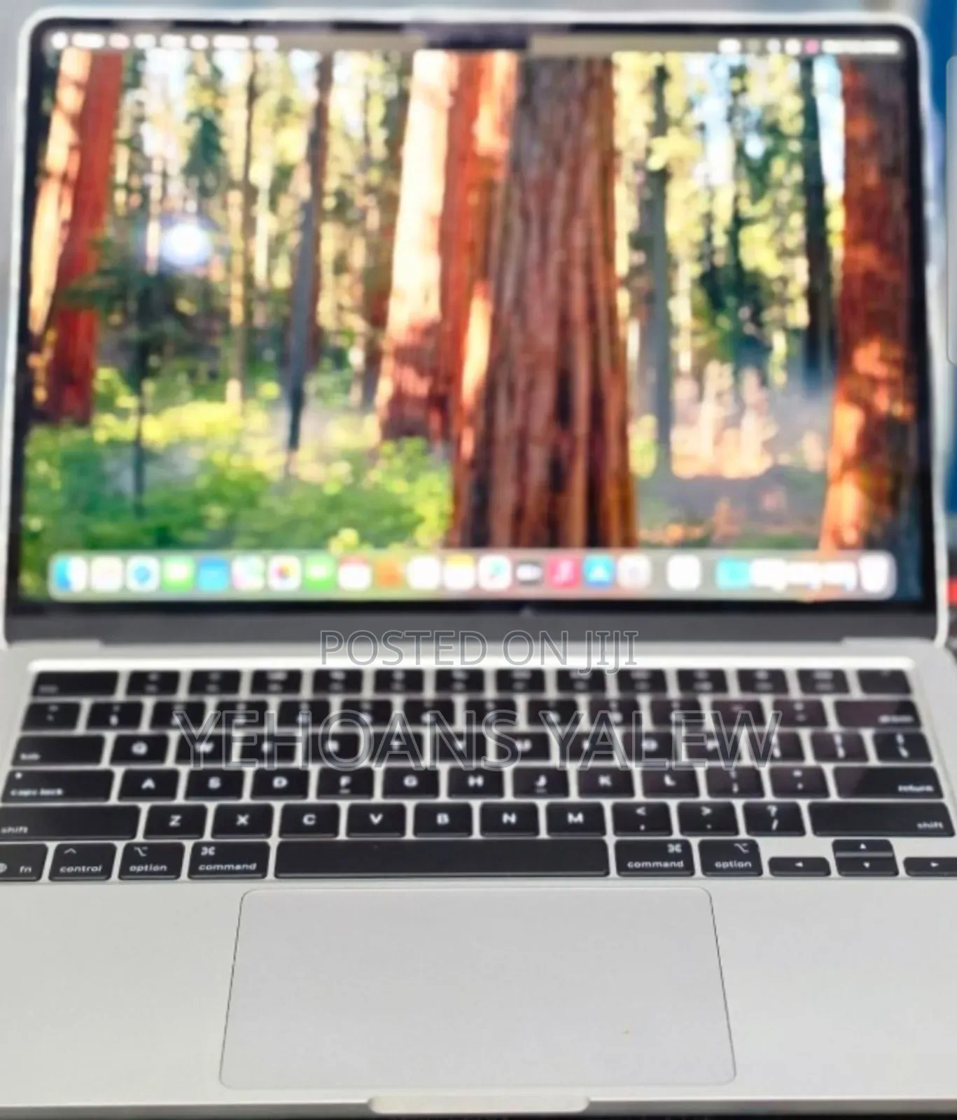 New Laptop Apple MacBook Air 2025 M4 16GB Apple M4 SSD 256GB