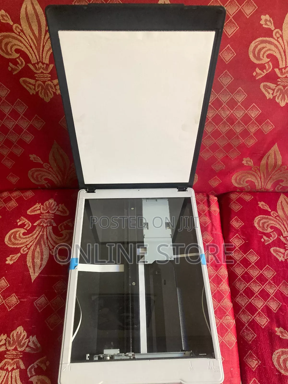 Epson Perfection V19