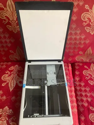 Epson Perfection V19