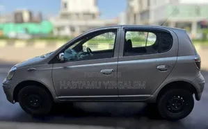 Toyota Vitz 2004 Gray