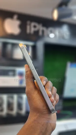 New Apple iPhone 15 Pro Max 256 GB Silver