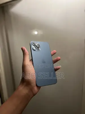 Apple iPhone 12 Pro Max 256 GB Blue