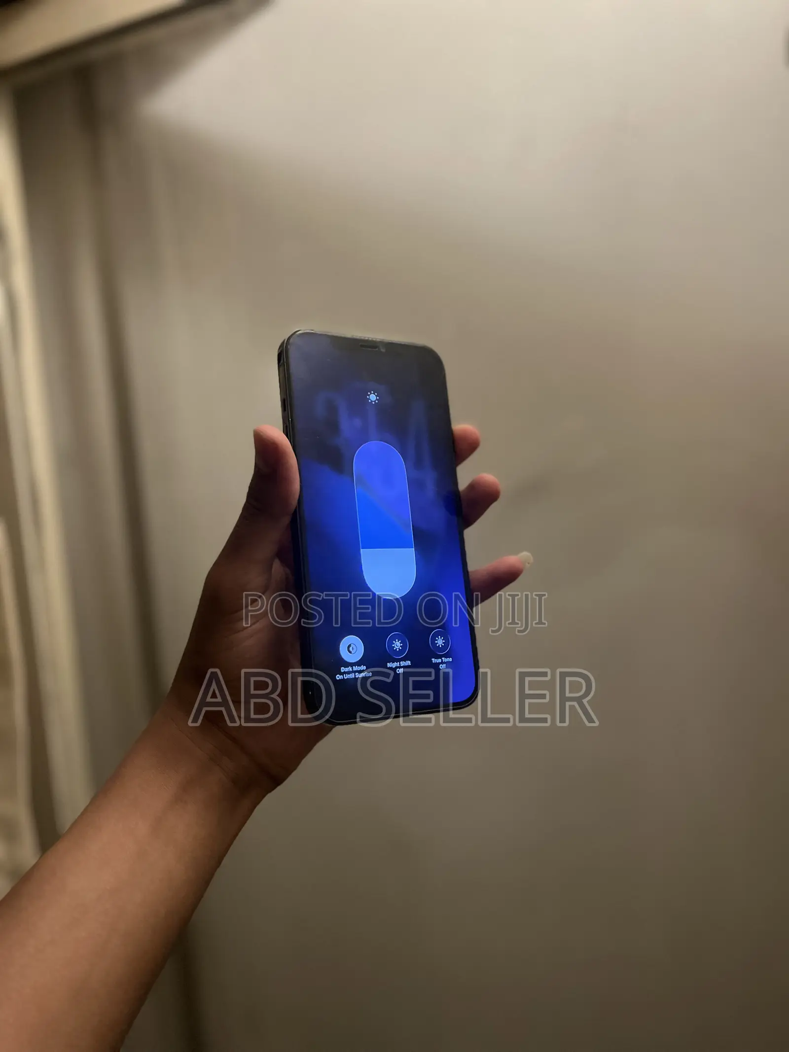 Apple iPhone 12 Pro Max 256 GB Blue